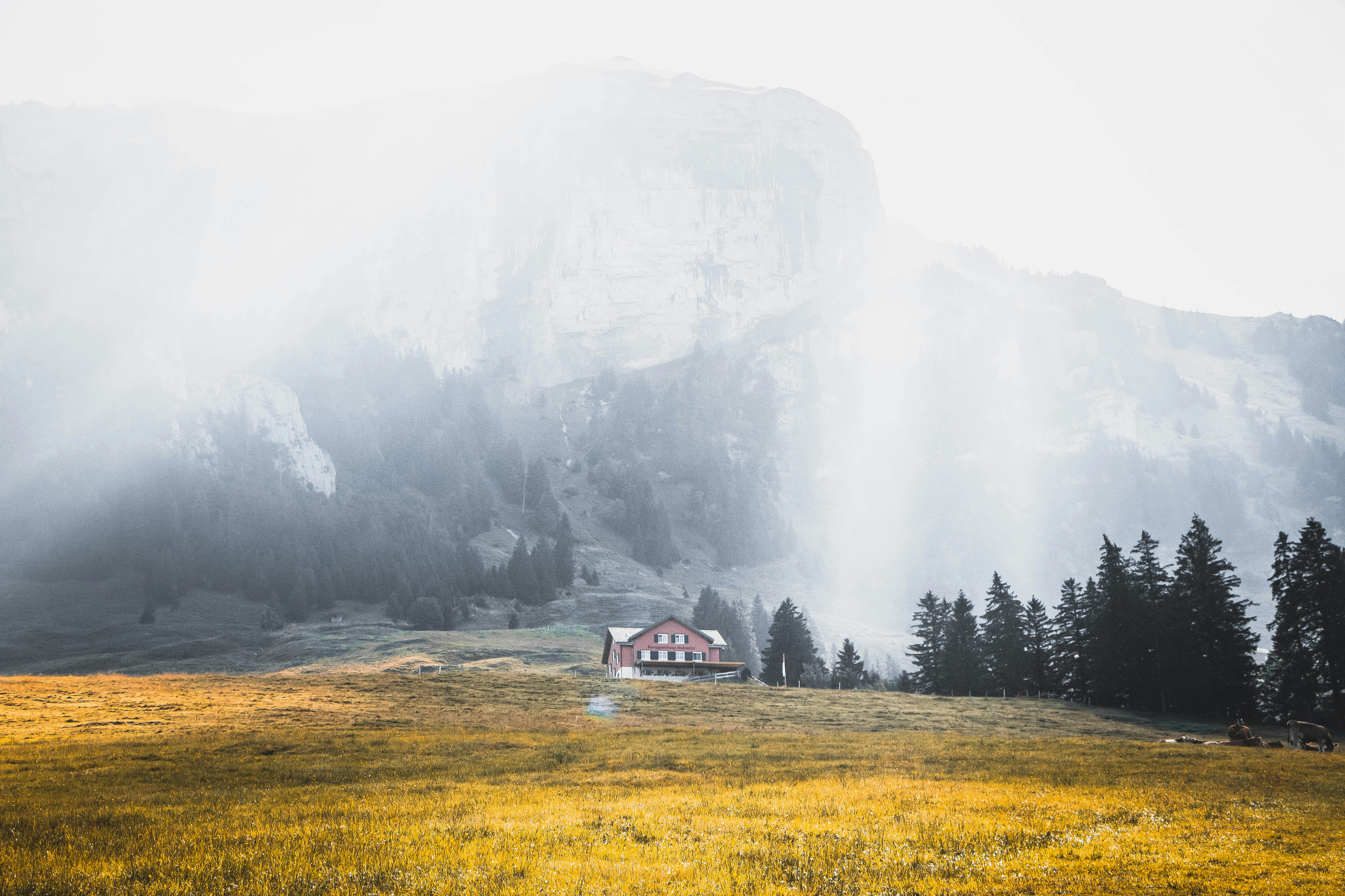 view photography of brown house on mountain near trees